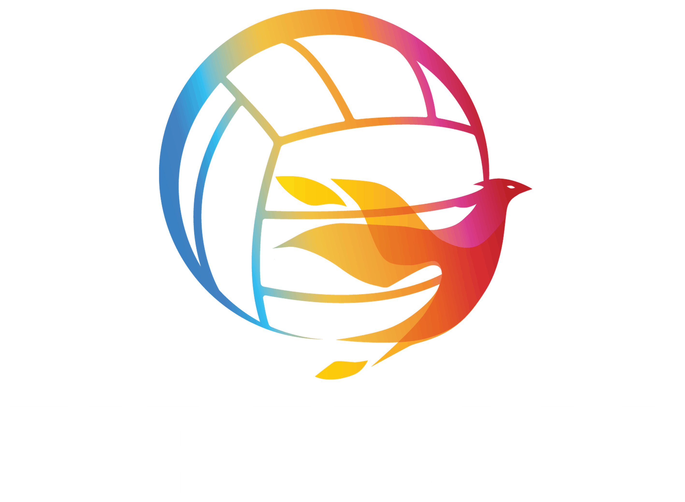 Fireball Beach Sports